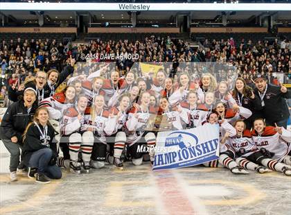 Thumbnail 1 in Canton vs. Wellesley (MIAA Division 2 Final) photogallery.