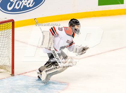 Thumbnail 2 in Canton vs. Wellesley (MIAA Division 2 Final) photogallery.