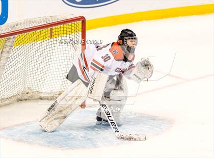 Thumbnail 1 in Canton vs. Wellesley (MIAA Division 2 Final) photogallery.