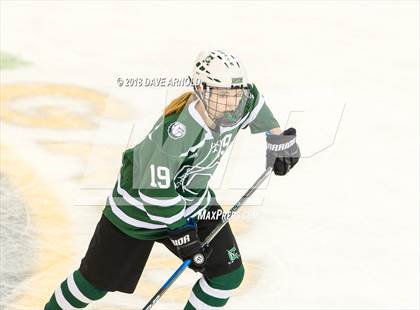 Thumbnail 2 in Canton vs. Wellesley (MIAA Division 2 Final) photogallery.
