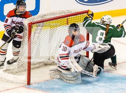 Thumbnail 1 in Canton vs. Wellesley (MIAA Division 2 Final) photogallery.