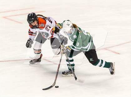 Thumbnail 2 in Canton vs. Wellesley (MIAA Division 2 Final) photogallery.