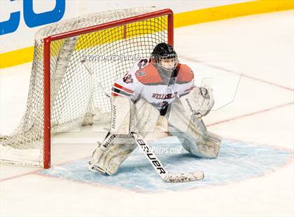Thumbnail 1 in Canton vs. Wellesley (MIAA Division 2 Final) photogallery.