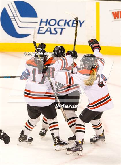 Thumbnail 1 in Canton vs. Wellesley (MIAA Division 2 Final) photogallery.