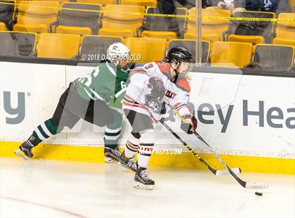 Thumbnail 1 in Canton vs. Wellesley (MIAA Division 2 Final) photogallery.