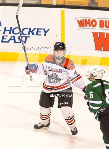 Thumbnail 2 in Canton vs. Wellesley (MIAA Division 2 Final) photogallery.