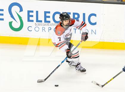 Thumbnail 1 in Canton vs. Wellesley (MIAA Division 2 Final) photogallery.
