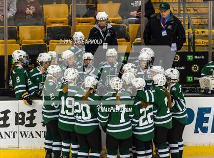Thumbnail 2 in Canton vs. Wellesley (MIAA Division 2 Final) photogallery.