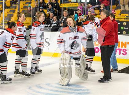 Thumbnail 1 in Canton vs. Wellesley (MIAA Division 2 Final) photogallery.