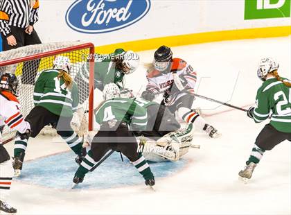 Thumbnail 1 in Canton vs. Wellesley (MIAA Division 2 Final) photogallery.