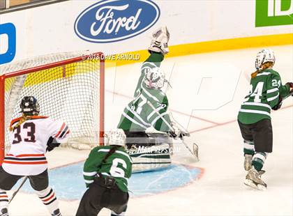 Thumbnail 3 in Canton vs. Wellesley (MIAA Division 2 Final) photogallery.
