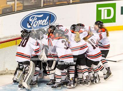 Thumbnail 1 in Canton vs. Wellesley (MIAA Division 2 Final) photogallery.