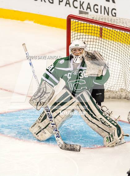 Thumbnail 3 in Canton vs. Wellesley (MIAA Division 2 Final) photogallery.