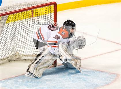 Thumbnail 2 in Canton vs. Wellesley (MIAA Division 2 Final) photogallery.