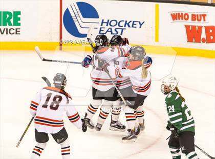 Thumbnail 3 in Canton vs. Wellesley (MIAA Division 2 Final) photogallery.