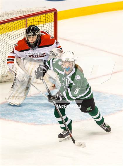 Thumbnail 1 in Canton vs. Wellesley (MIAA Division 2 Final) photogallery.