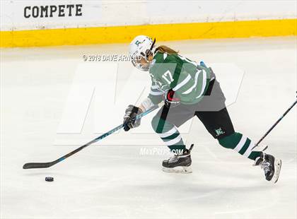 Thumbnail 3 in Canton vs. Wellesley (MIAA Division 2 Final) photogallery.