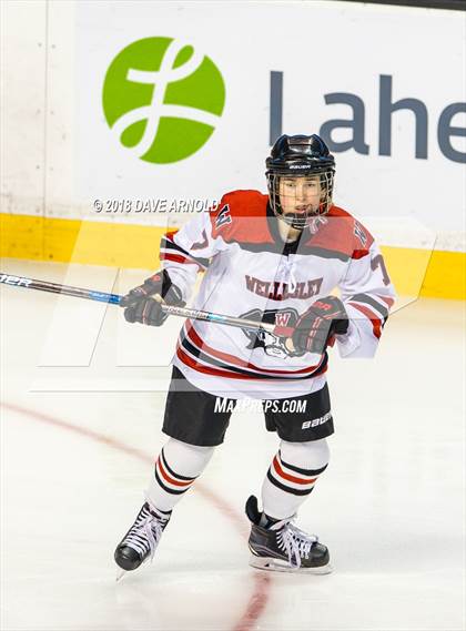 Thumbnail 1 in Canton vs. Wellesley (MIAA Division 2 Final) photogallery.
