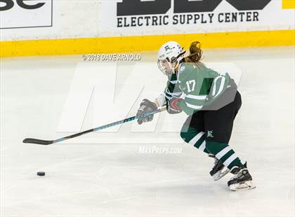 Thumbnail 2 in Canton vs. Wellesley (MIAA Division 2 Final) photogallery.