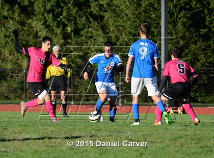 Thumbnail 2 in Schechter @ Ardsley photogallery.
