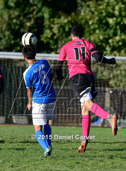 Thumbnail 2 in Schechter @ Ardsley photogallery.