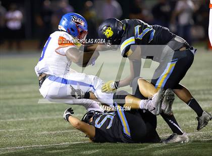 Thumbnail 1 in Serra vs. Warren photogallery.