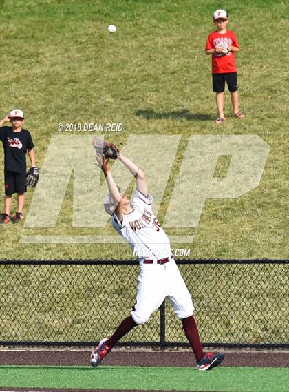 Thumbnail 3 in Triad @ St. Ignatius College Prep (IHSA Class 3A Semifinal)  photogallery.
