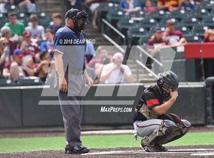 Thumbnail 1 in Triad @ St. Ignatius College Prep (IHSA Class 3A Semifinal)  photogallery.