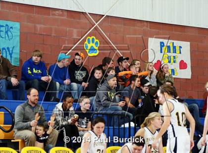 Thumbnail 1 in JV: Williamson @ Northern Potter photogallery.