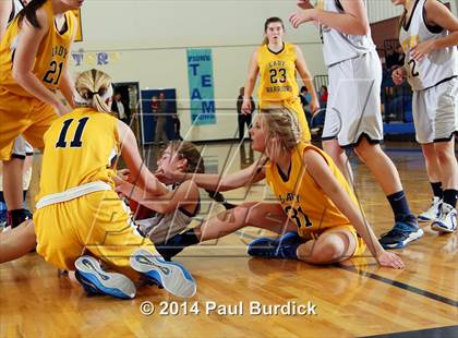 Thumbnail 1 in JV: Williamson @ Northern Potter photogallery.