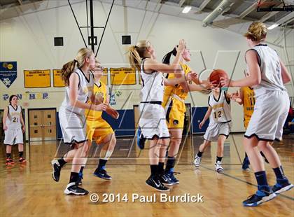 Thumbnail 1 in JV: Williamson @ Northern Potter photogallery.