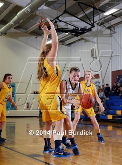 Thumbnail 3 in JV: Williamson @ Northern Potter photogallery.