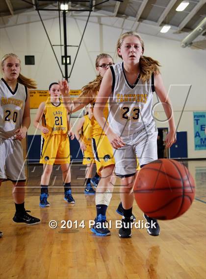 Thumbnail 3 in JV: Williamson @ Northern Potter photogallery.
