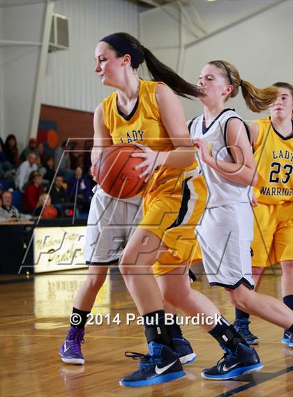Thumbnail 3 in JV: Williamson @ Northern Potter photogallery.