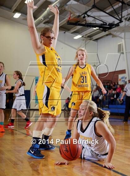 Thumbnail 1 in JV: Williamson @ Northern Potter photogallery.