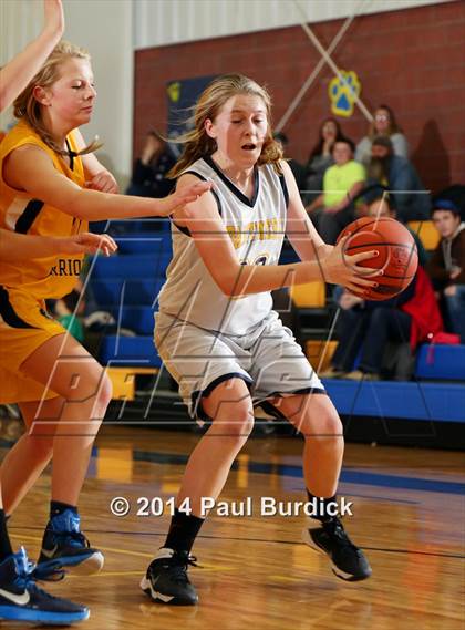 Thumbnail 1 in JV: Williamson @ Northern Potter photogallery.