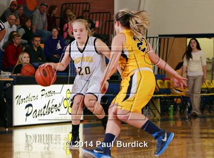 Thumbnail 1 in JV: Williamson @ Northern Potter photogallery.