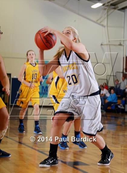 Thumbnail 3 in JV: Williamson @ Northern Potter photogallery.