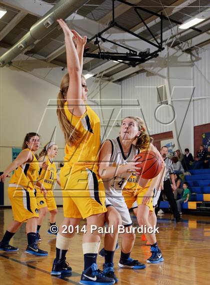 Thumbnail 3 in JV: Williamson @ Northern Potter photogallery.