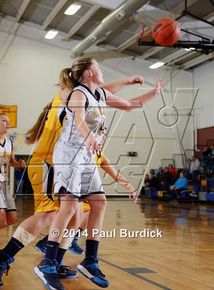 Thumbnail 2 in JV: Williamson @ Northern Potter photogallery.