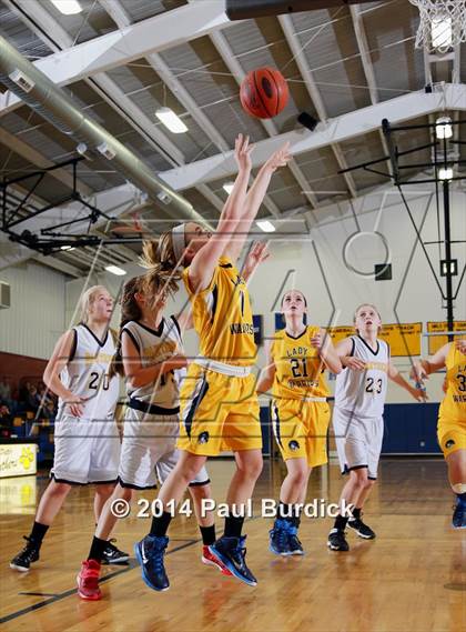 Thumbnail 3 in JV: Williamson @ Northern Potter photogallery.