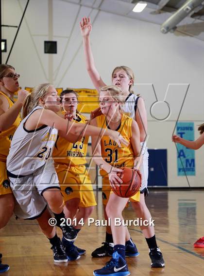Thumbnail 3 in JV: Williamson @ Northern Potter photogallery.