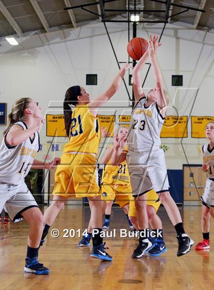 Thumbnail 3 in JV: Williamson @ Northern Potter photogallery.