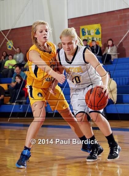 Thumbnail 3 in JV: Williamson @ Northern Potter photogallery.