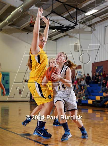 Thumbnail 1 in JV: Williamson @ Northern Potter photogallery.