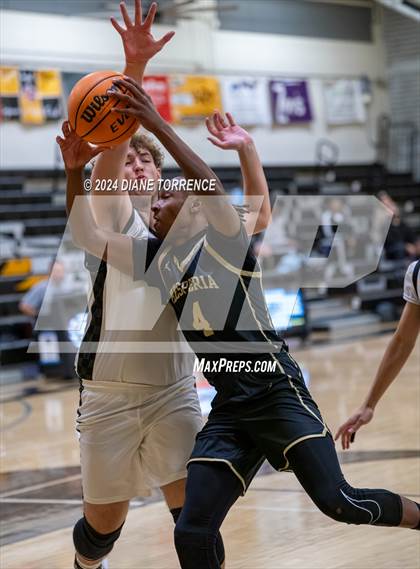 Thumbnail 1 in Hesperia @ Foothill photogallery.