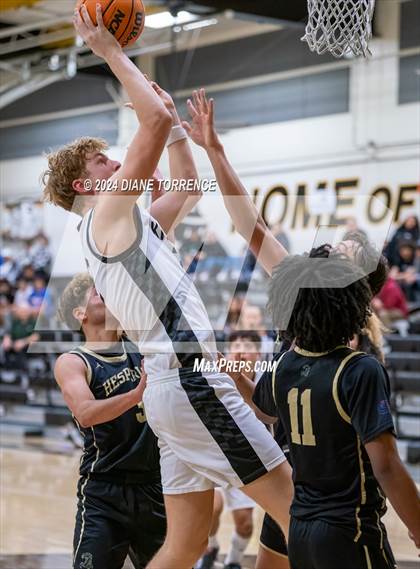 Thumbnail 1 in Hesperia @ Foothill photogallery.
