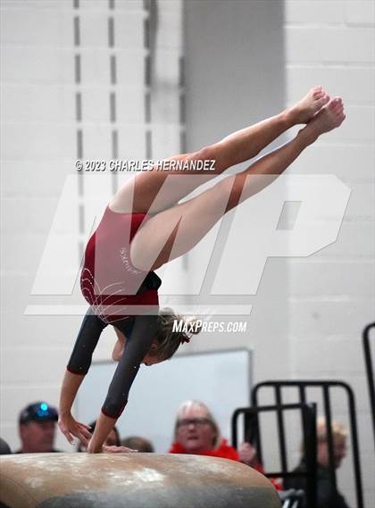 Thumbnail 1 in THSGCA State Meet (Vault- Optional) photogallery.