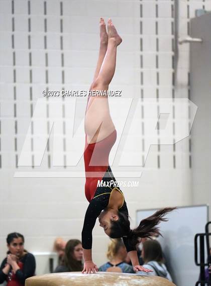 Thumbnail 1 in THSGCA State Meet (Vault- Optional) photogallery.