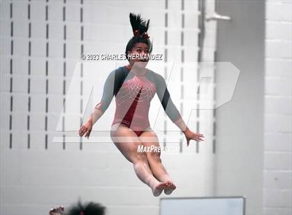 Thumbnail 3 in THSGCA State Meet (Vault- Optional) photogallery.